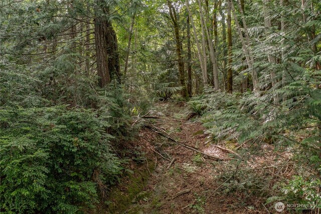 0 N US Highway 101, Brinnon, WA 98320