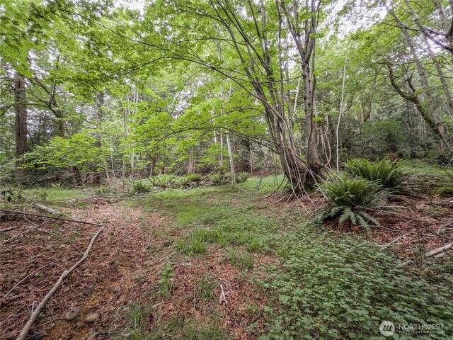 0 N US Highway 101, Brinnon, WA 98320