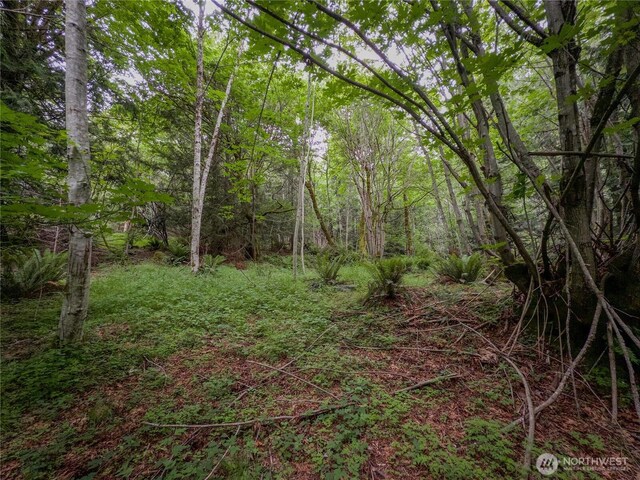 0 N US Highway 101, Brinnon, WA 98320