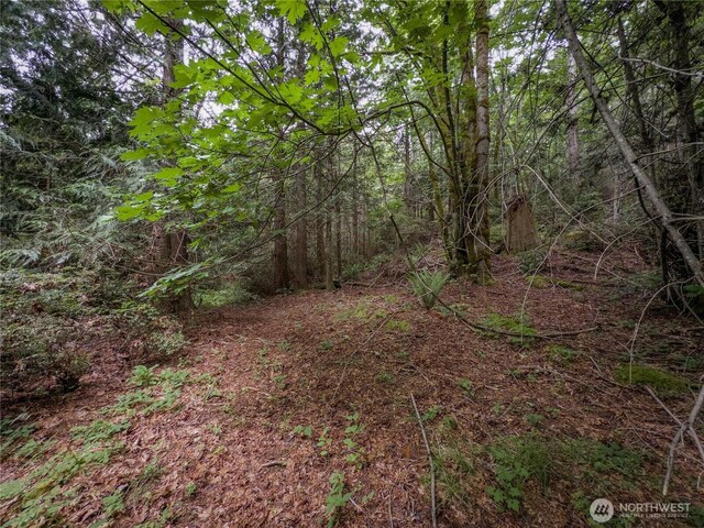 0 N US Highway 101, Brinnon, WA 98320