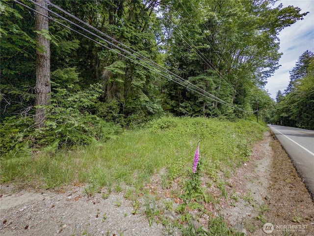 0 N US Highway 101, Brinnon, WA 98320