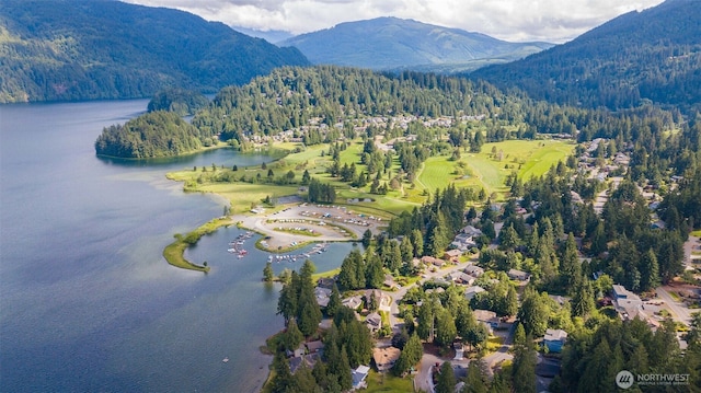 60 Marigold Dr, Bellingham, WA 98229 - aerial view of property's location featuring a heavily wooded area and a water and mountain view