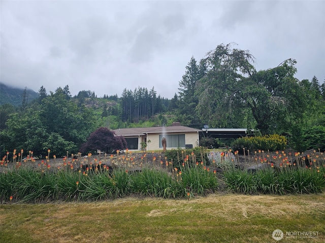 107 Peters Crk, Randle, WA 98377 - rear view of house with a wooded view and a yard