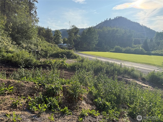 7797 Brender Canyon Rd, Cashmere, WA 98815 - photo 1