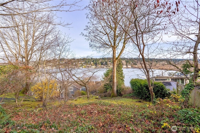 4442 95th Ave NE, Bellevue, WA 98004 - photo 2