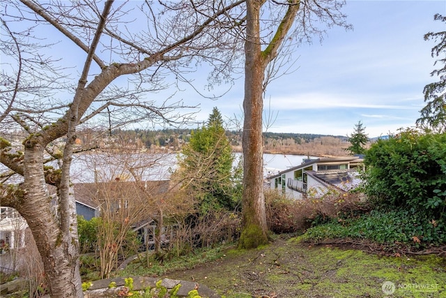 4442 95th Ave NE, Bellevue, WA 98004 - photo 4