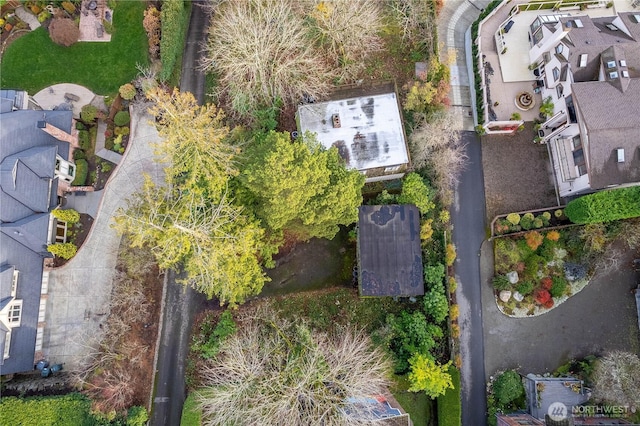 4442 95th Ave NE, Bellevue, WA 98004 - photo 5