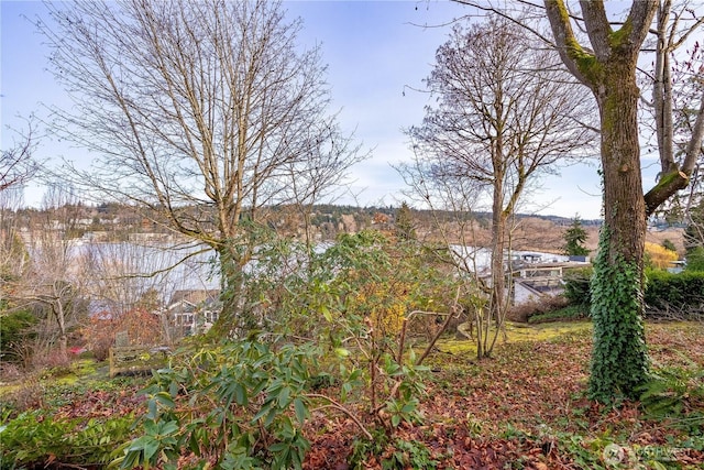 4442 95th Ave NE, Bellevue, WA 98004 - photo 7