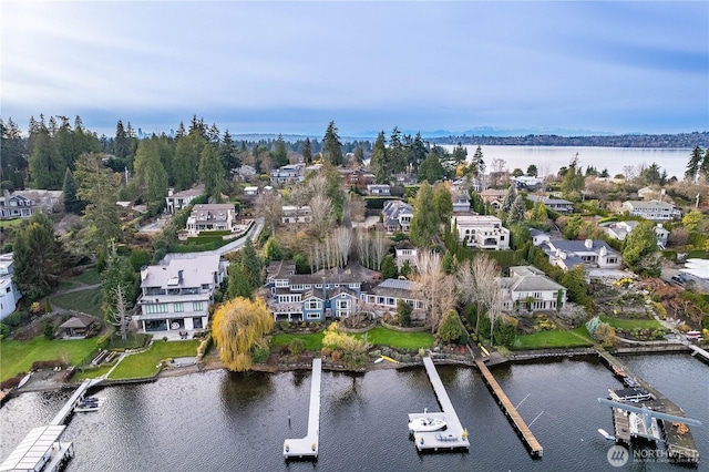 4442 95th Ave NE, Bellevue, WA 98004 - photo 9