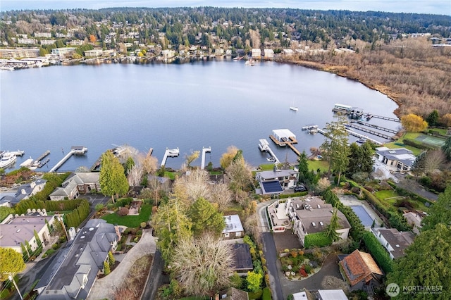 4442 95th Ave NE, Bellevue, WA 98004 - photo 10
