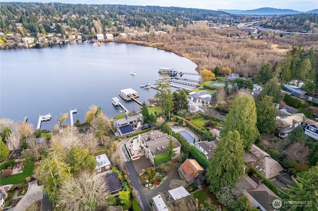 4442 95th Ave NE, Bellevue, WA 98004 - photo 12