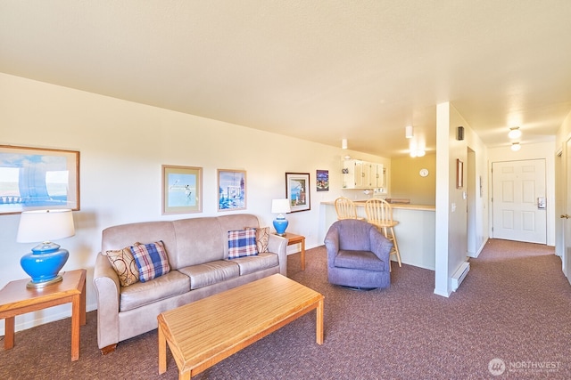 210 26th St NW Unit 201/2, Long Beach, WA 98631 - living room with carpet floors