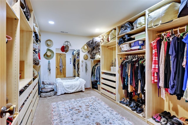 34059 Bridge View Dr NE, Kingston, WA 98346 - walk in closet featuring carpet flooring