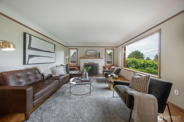 7310 10th Ave NW, Seattle, WA 98117 - living room with a fireplace with flush hearth and wood finished floors