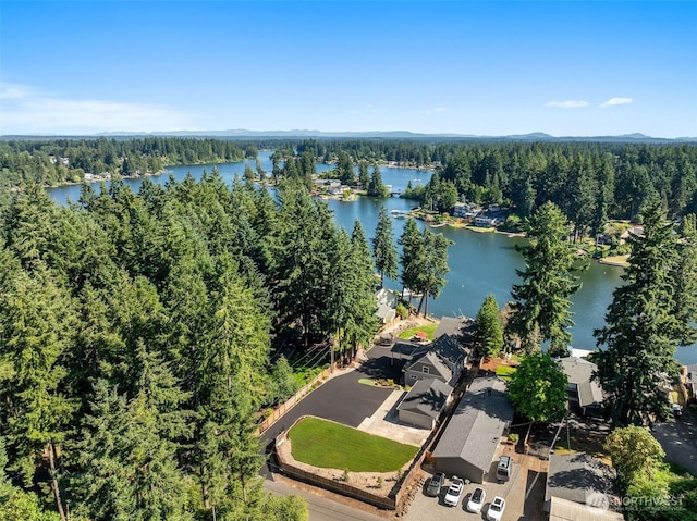 7235 20th Ave SE Unit A & B, Lacey, WA 98503 - drone / aerial view of a forest and a large body of water