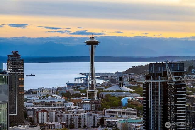 1808 Minor Ave Unit 3005, Seattle, WA 98101 - water view