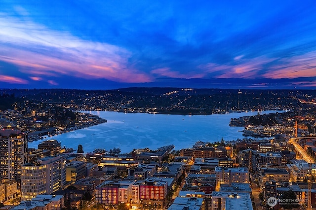 1808 Minor Ave Unit 3005, Seattle, WA 98101 - view of urban area featuring a large body of water
