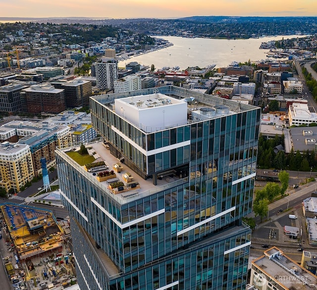 1808 Minor Ave Unit 3005, Seattle, WA 98101 - city view