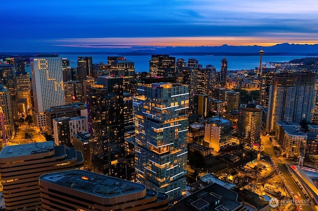 1808 Minor Ave Unit 3005, Seattle, WA 98101 - city view with a nearby body of water