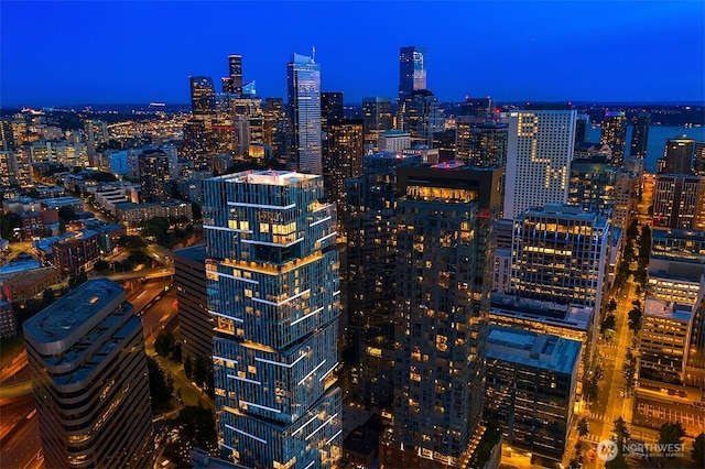 1808 Minor Ave Unit 3005, Seattle, WA 98101 - city view featuring a view of city lights