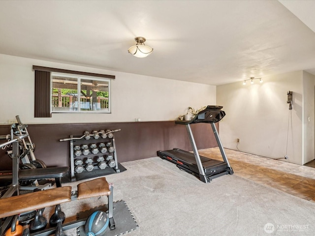 2613 172nd Pl SE, Bothell, WA 98012 - workout area with carpet flooring
