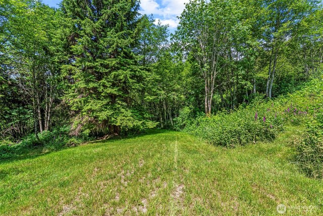 874 W State Route 4, Cathlamet, WA 98612 - view of yard with a wooded view