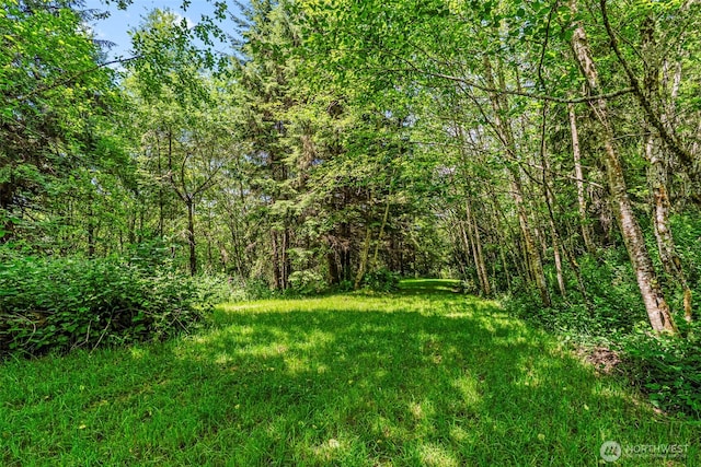 874 W State Route 4, Cathlamet, WA 98612 - view of green lawn featuring a wooded view
