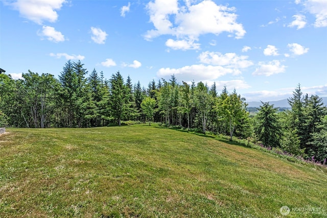 874 W State Route 4, Cathlamet, WA 98612 - view of grassy yard featuring a view of trees