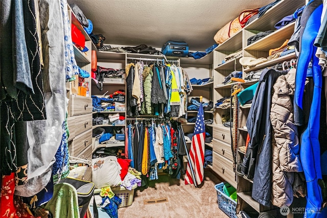 874 W State Route 4, Cathlamet, WA 98612 - walk in closet featuring carpet floors