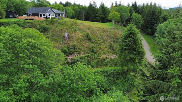 874 W State Route 4, Cathlamet, WA 98612 - aerial view of property and surrounding area with a forest
