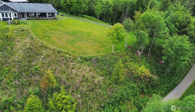 874 W State Route 4, Cathlamet, WA 98612 - view from above of property