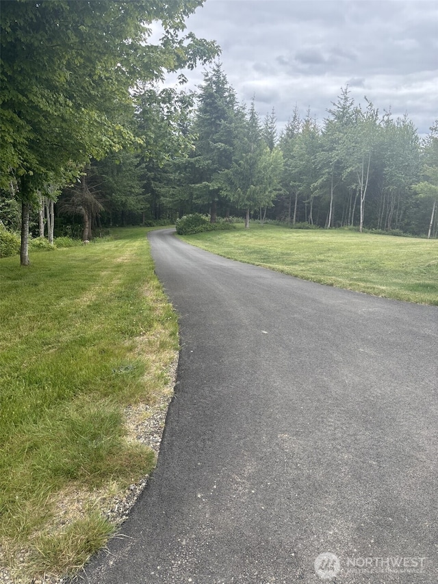 874 W State Route 4, Cathlamet, WA 98612 - view of asphalt street with a view of trees