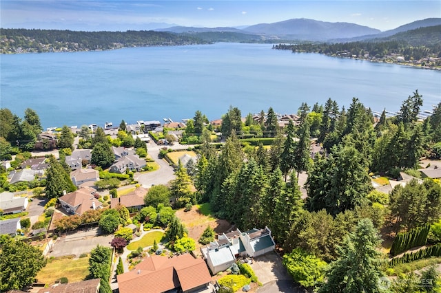 2838 170th Ave SE, Bellevue, WA 98008 - aerial perspective of suburban area featuring a water and mountain view