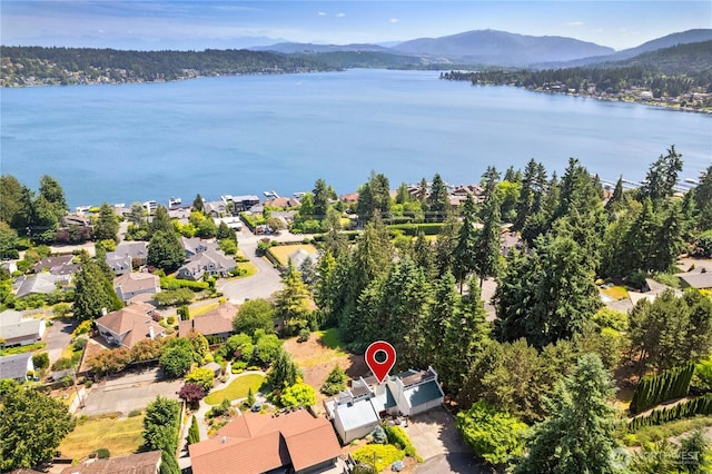 2838 170th Ave SE, Bellevue, WA 98008 - aerial view of residential area with a water and mountain view