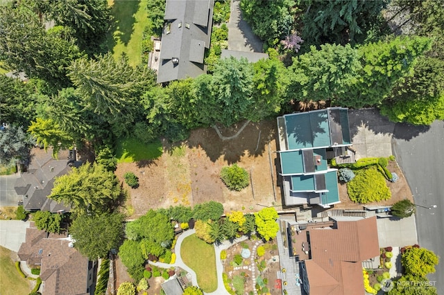 2838 170th Ave SE, Bellevue, WA 98008 - aerial view