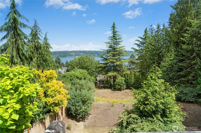2838 170th Ave SE, Bellevue, WA 98008 - water view