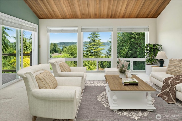 2838 170th Ave SE, Bellevue, WA 98008 - living room with wooden ceiling and vaulted ceiling