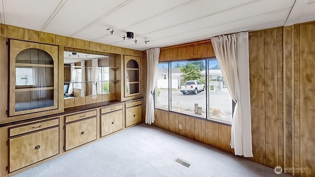 11453 Bayview Edison Rd Unit 25, Mount Vernon, WA 98273 - spare room with wooden walls and light colored carpet