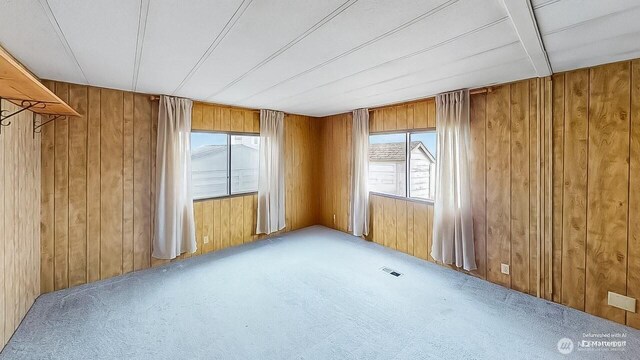 11453 Bayview Edison Rd Unit 25, Mount Vernon, WA 98273 - carpeted empty room with wooden walls