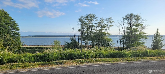 11453 Bayview Edison Rd Unit 25, Mount Vernon, WA 98273 - water view
