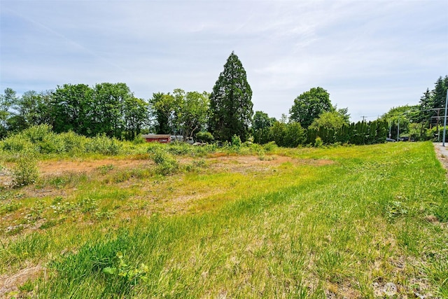 1601 Cooks Hill Rd, Centralia, WA 98531 - photo 5