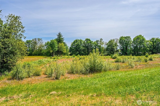 1601 Cooks Hill Rd, Centralia, WA 98531 - photo 6