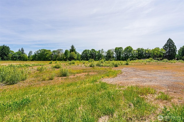 1601 Cooks Hill Rd, Centralia, WA 98531 - photo 7