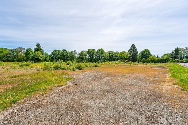 1601 Cooks Hill Rd, Centralia, WA 98531 - photo 8