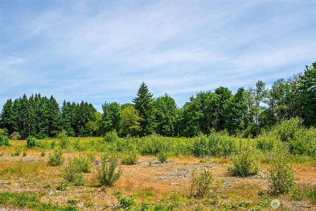 1601 Cooks Hill Rd, Centralia, WA 98531 - photo 10