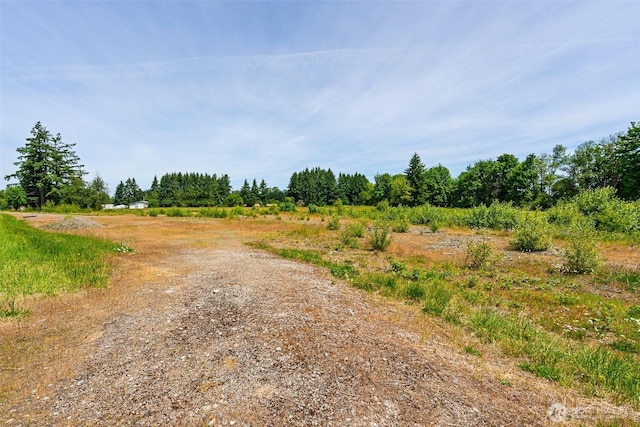 1601 Cooks Hill Rd, Centralia, WA 98531 - photo 11