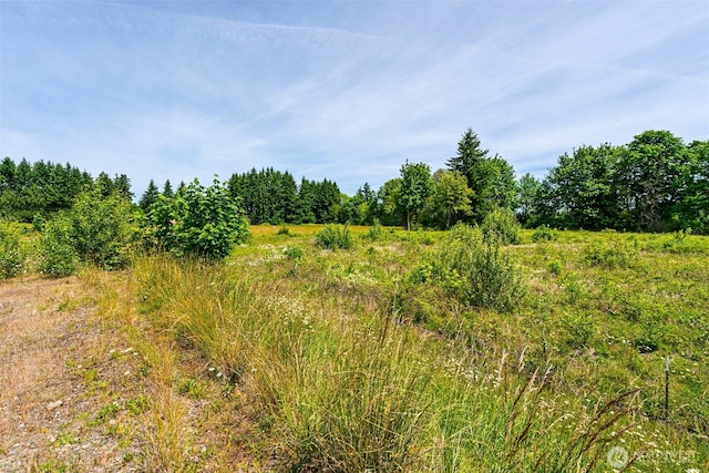 1601 Cooks Hill Rd, Centralia, WA 98531 - photo 13