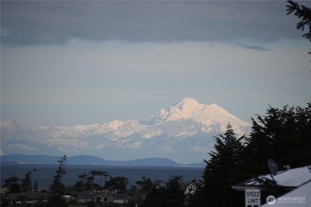 440 W Nelson Rd, Sequim, WA 98382 - view of mountain background