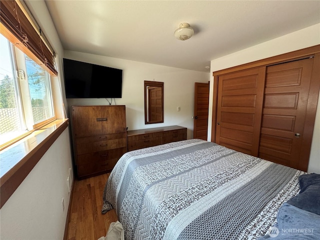 8329 20th St SE, Lake Stevens, WA 98258 - bedroom featuring wood finished floors and a closet