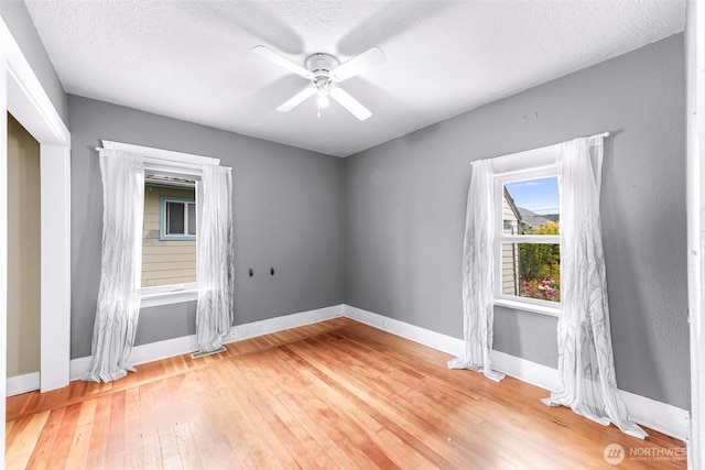 2304 F St, Bellingham, WA 98225 - empty room featuring a ceiling fan, light wood-style flooring, and a textured ceiling